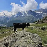 Apartman Kristall F *