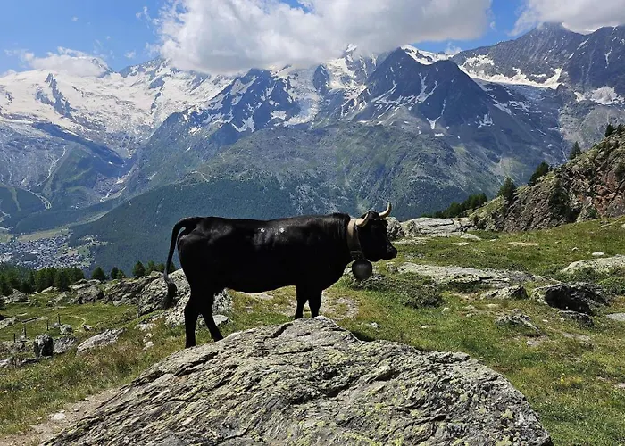 דירה Kristall F *